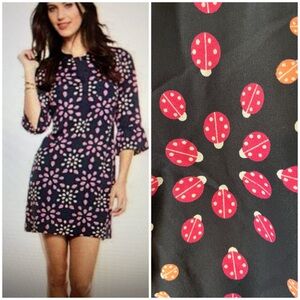 New! Crown & Ivy Ladybug Printed Dress Size 2P Blue Pink 3/4 Sleeves NWT